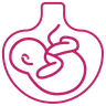 Gynaecology icon